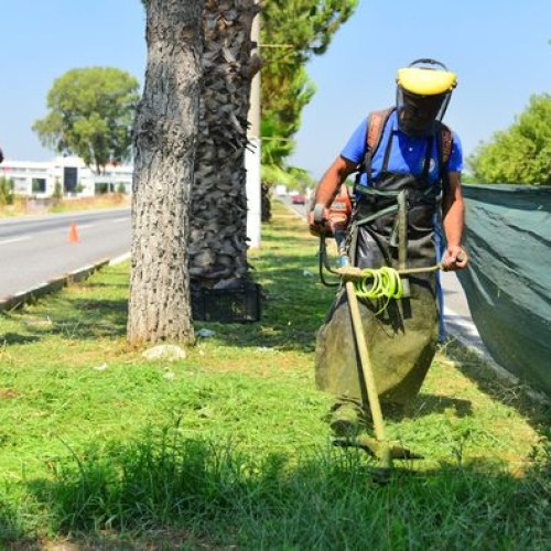 Aydın-İzmir çevreyolu üzeri refujlarda ot biçme ve çevre temizliği çalışmaları gerçekleştiriliyor.