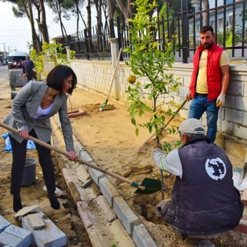 lçemiz 1'nolu Sağlık Ocağı çevresinde belediye ekiplerimizce gerçekleştirilen taş döşeme, ağaçlandırma ve çevre düzenlemesi çalışmalarını Belediye Başkan Vekilimiz Sibel Uyar yerinde inceledi. 