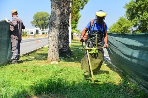 Aydın-İzmir çevreyolu üzeri refujlarda ot biçme ve çevre temizliği çalışmaları gerçekleştiriliyor.